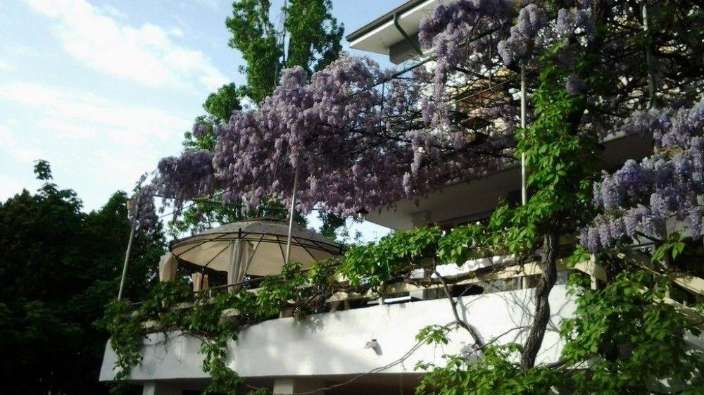 Hotel Ristorante Sole Muggia Ngoại thất bức ảnh